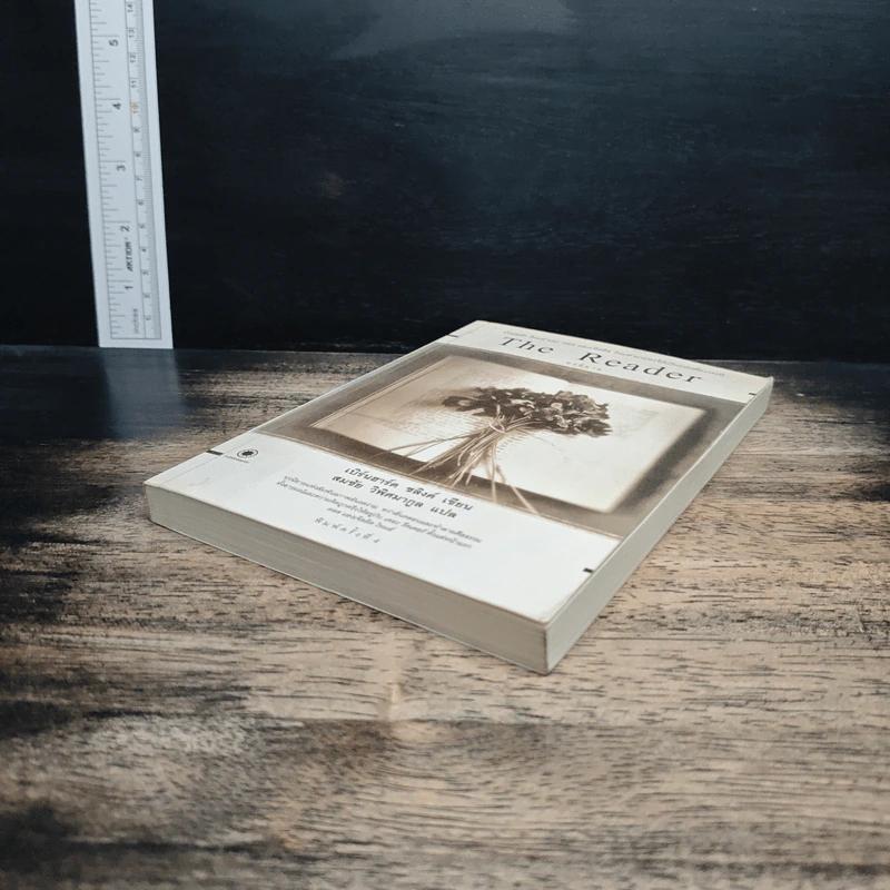 The Reader - เบิร์นฮาร์ด ชลิงค์ รูปที่ 4