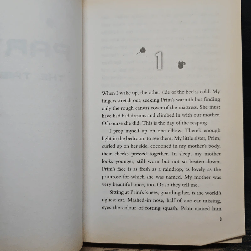 The Hunger Games - Suzanne Collins รูปที่ 8