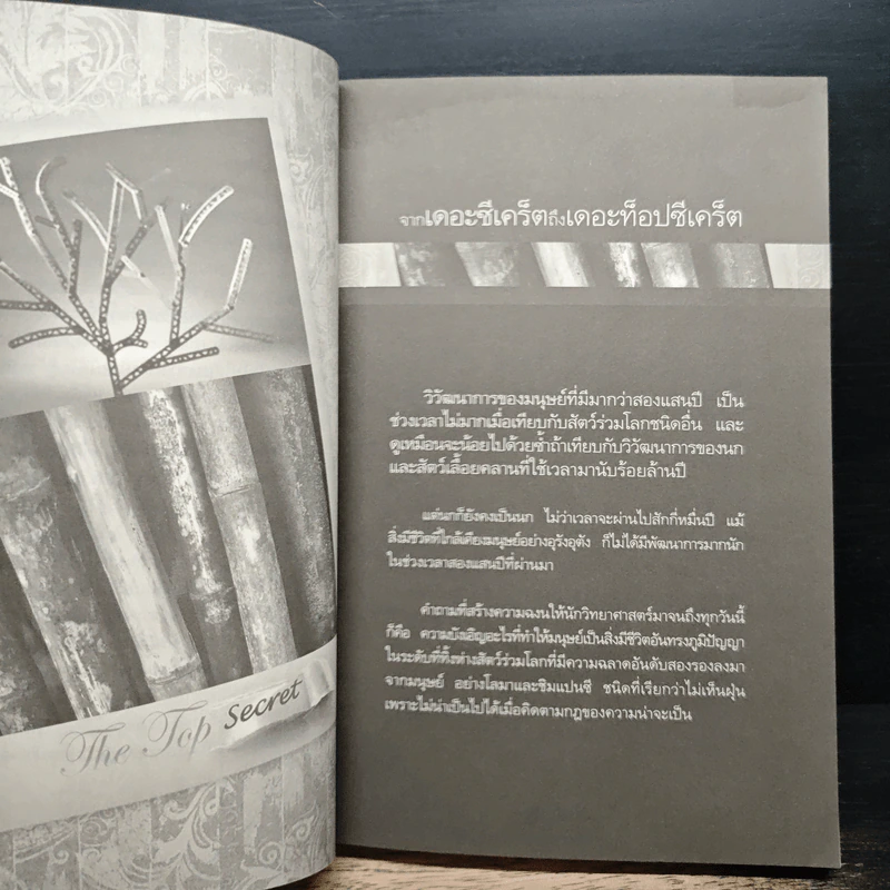 The Top Secret เดอะท็อปซีเคร็ต - ทันตแพทย์สม สุจีรา รูปที่ 8