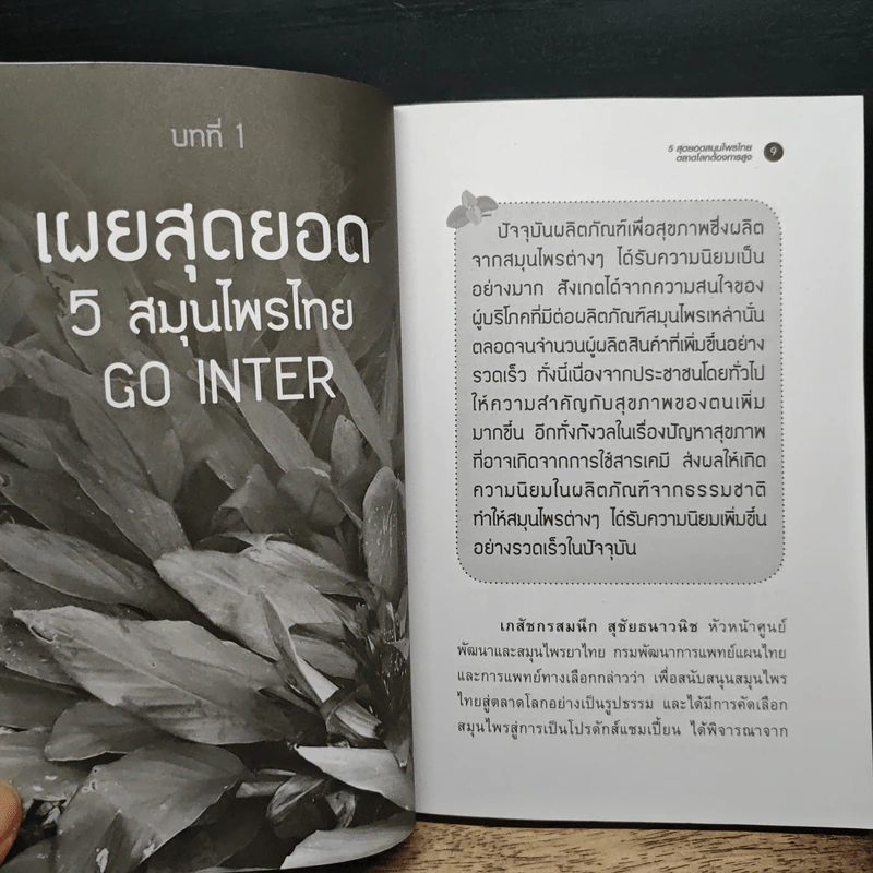 5 สุดยอดสมนไพรไทยตลาดโลกต้องการสูง รูปที่ 9
