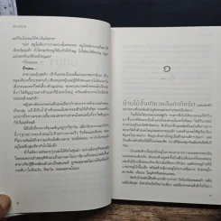 เมืองมธุรส - แก้วเก้า รูปที่ 9