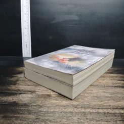 เจาะเวลามาเป็นมือปราบ ภาคหนึ่ง เล่ม 1-2 - ไอซาราง รูปที่ 4