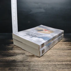 เจาะเวลามาเป็นมือปราบ ภาคหนึ่ง เล่ม 1-2 - ไอซาราง รูปที่ 5