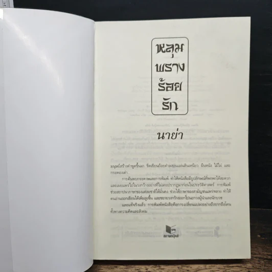 หลุมพรางร้อยรัก - นาย่า รูปที่ 6