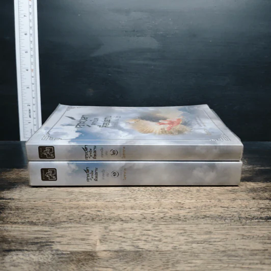 เจาะเวลามาเป็นมือปราบ ภาคหนึ่ง เล่ม 1-2 - ไอซาราง รูปที่ 3