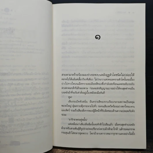 ทรายสีรุ้ง - มุกเรียง รูปที่ 7