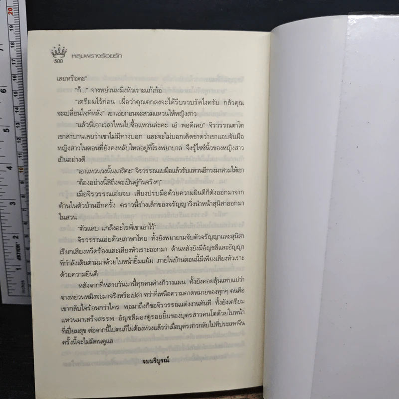 หลุมพรางร้อยรัก - นาย่า รูปที่ 9