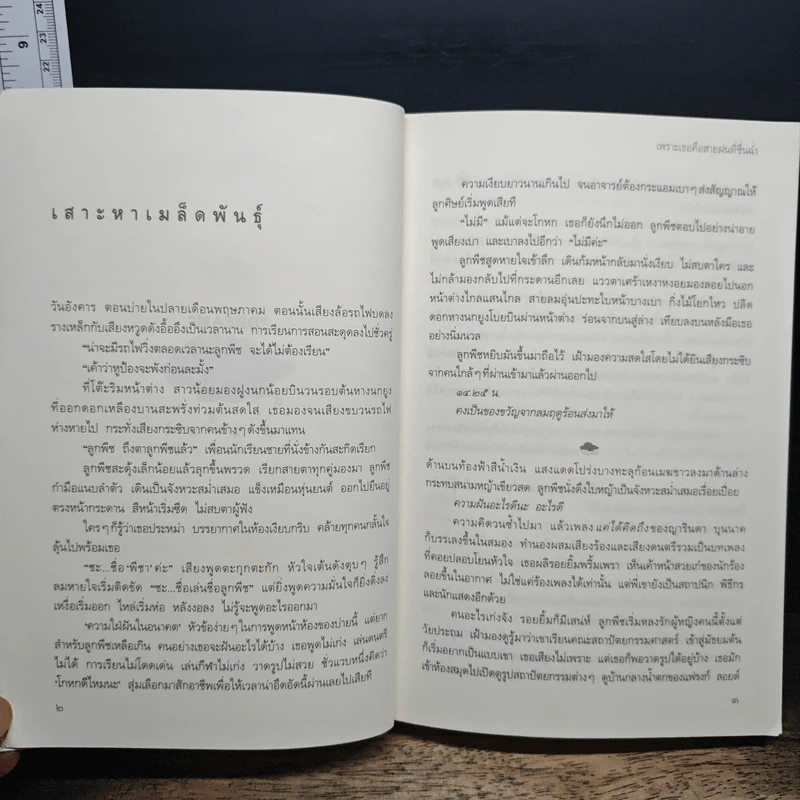 เพราะเธอคือสายฝนที่ชื่นฉ่ำ - ราตรี อธิษฐาน รูปที่ 7