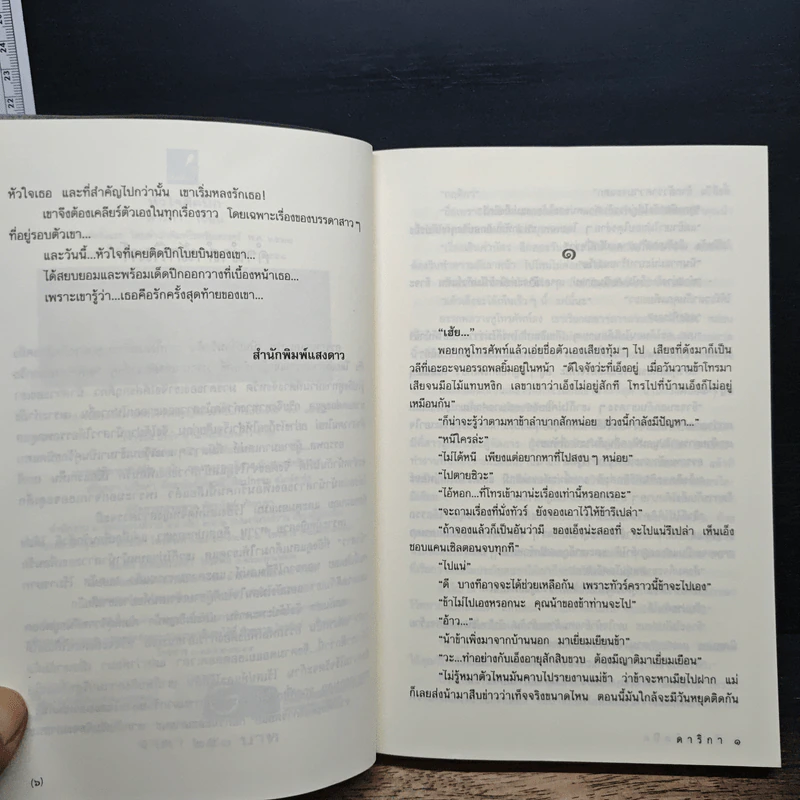 หัวใจติดปีก - การิกา รูปที่ 7