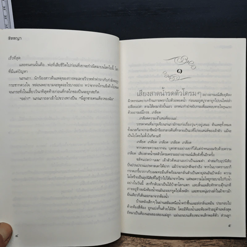 เมฆสลับลาย - ชัชชญา รูปที่ 8