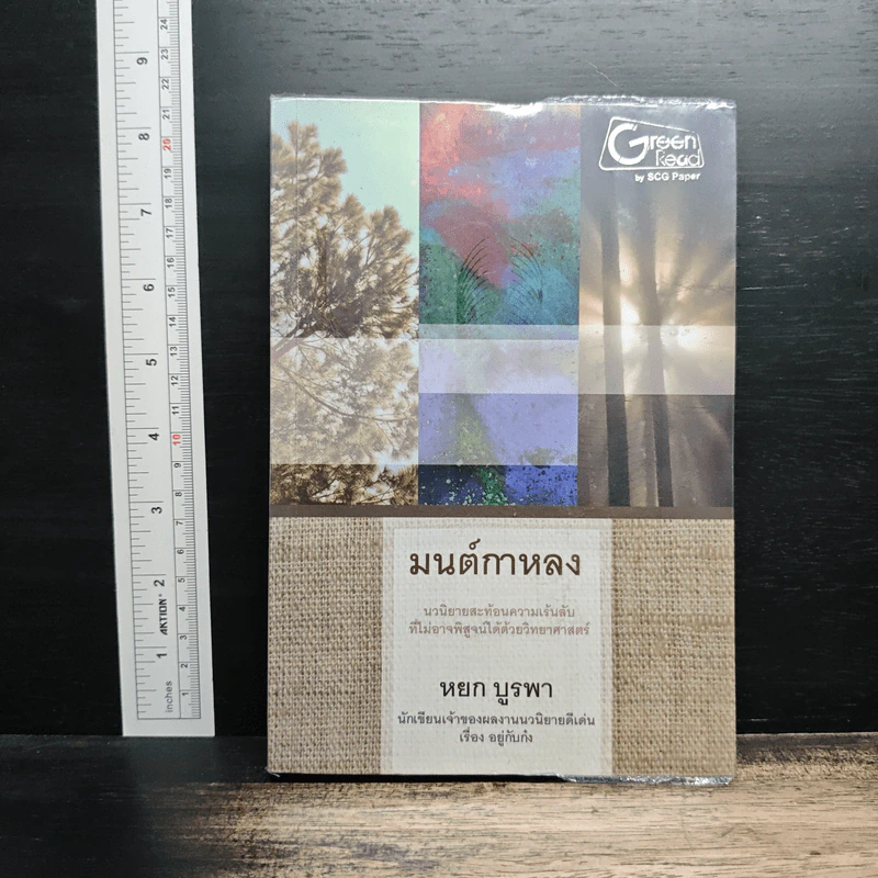 มนต์กาหลง - หยก บูรพา รูปที่ 1