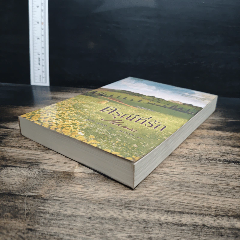 ดรุณีที่รัก Minx - จูเลีย ควินน์ รูปที่ 4