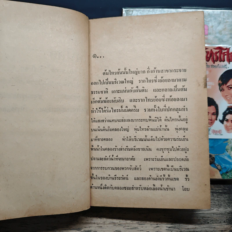 ไทรโศก 2 เล่มจบ - จำลักษณ์ รูปที่ 7