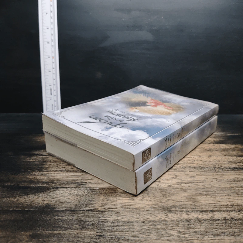 เจาะเวลามาเป็นมือปราบ ภาคหนึ่ง เล่ม 1-2 - ไอซาราง รูปที่ 5