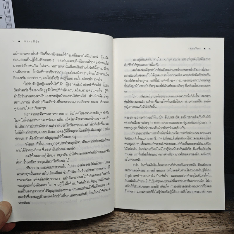 ทรายสีรุ้ง - มุกเรียง รูปที่ 8