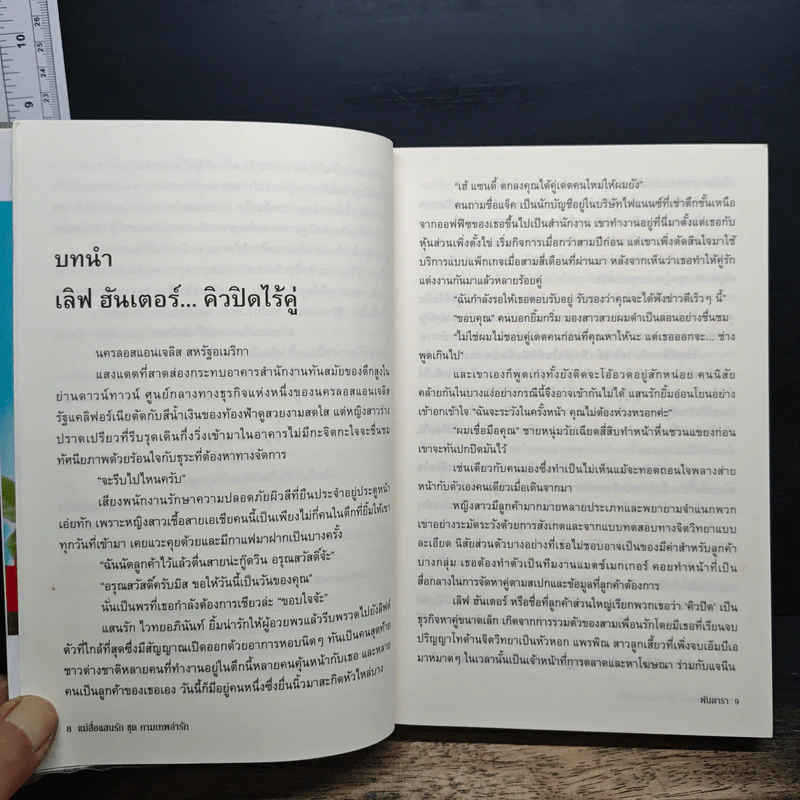 แม่สื่อแสนรัก - พันดารา รูปที่ 7