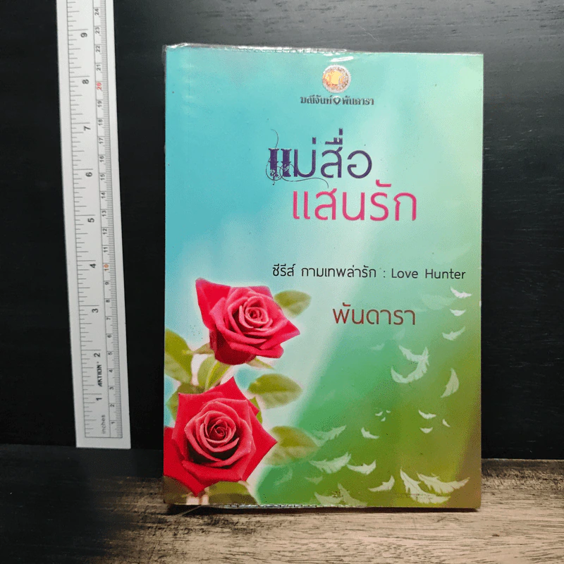 แม่สื่อแสนรัก - พันดารา รูปที่ 1