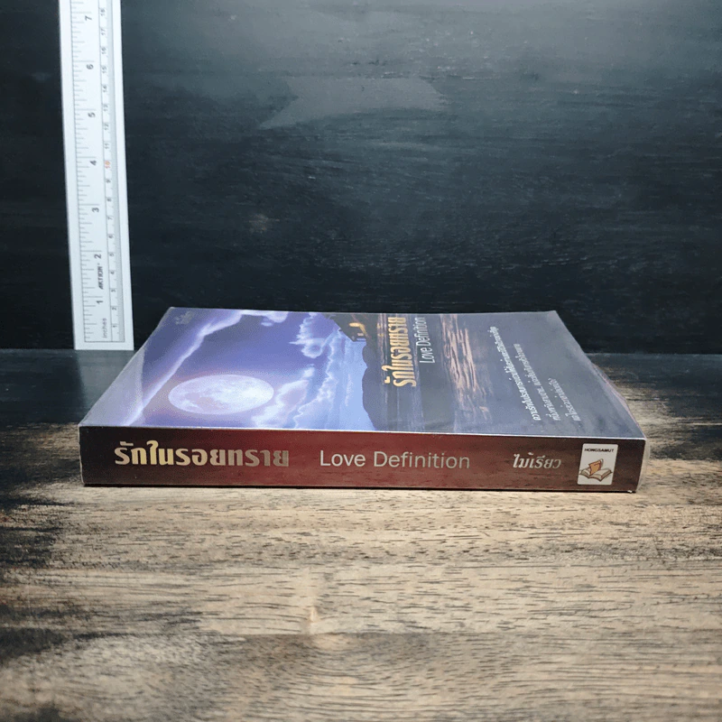 รักในรอยทราย Love Definition - ไม้เรียว รูปที่ 3