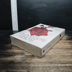 รอยรักรอยซาตาน - อาริตา รูปที่ 5