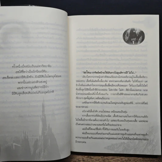 เจ้าชายราตรี - อะแมธีสต์ รูปที่ 8