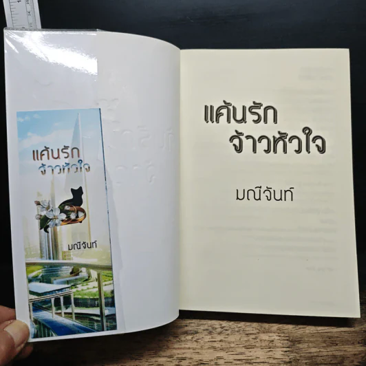 แค้นรักจ้าวหัวใจ - มณีจันท์ รูปที่ 6