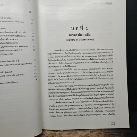 เห็ดโคนและลูกผสมฟิวแสนท์ - ดร.สุมาลี พิชญางกูร รูปที่ 9