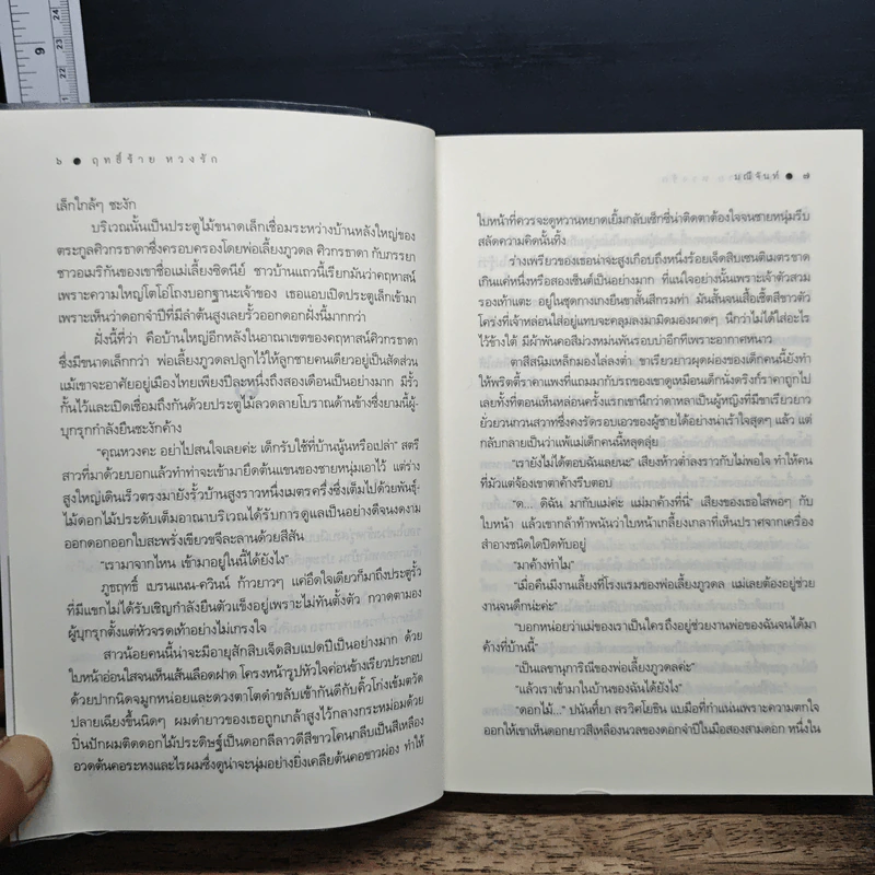 ฤทธิ์ร้ายหวงรัก - มณีจันท์ รูปที่ 8