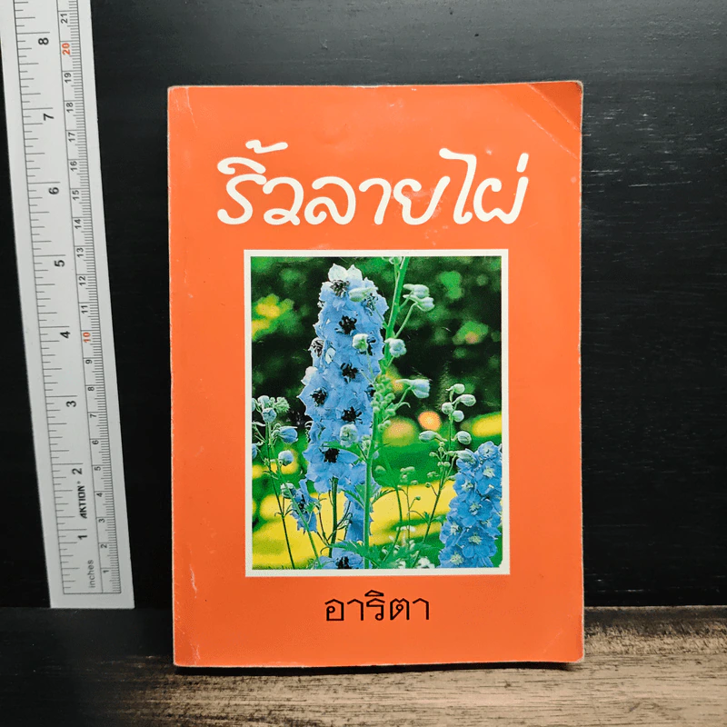 ริ้วลายไผ่ เล่ม 2 - อาริตา รูปที่ 1