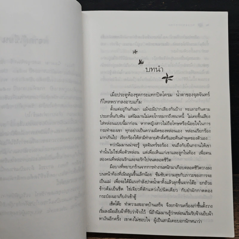 พรายปรารถนา - กิ่งฉัตร รูปที่ 7