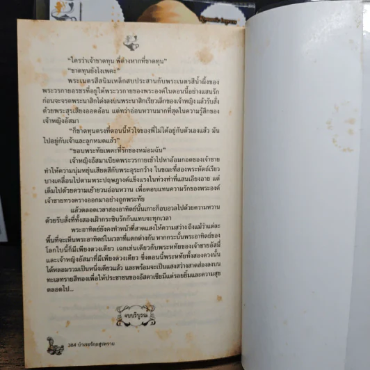 ชุด จอมใจบัลลังก์ทราย 2 เล่ม ยั่วรักบัลลังก์ทราย+บำเรอรักอสูรร้าย - ฟ้าอรุโณทัย รูปที่ 9