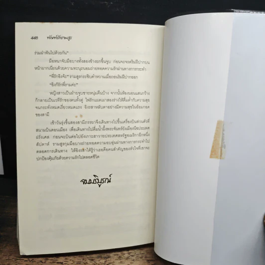 ทัณฑ์รักรามอสูร - ช่อศิลาญา รูปที่ 8