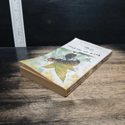 lord of the flies - william golding รูปที่ 5