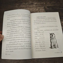 หมาออย - ออย ธนา สุทธิกมล รูปที่ 8