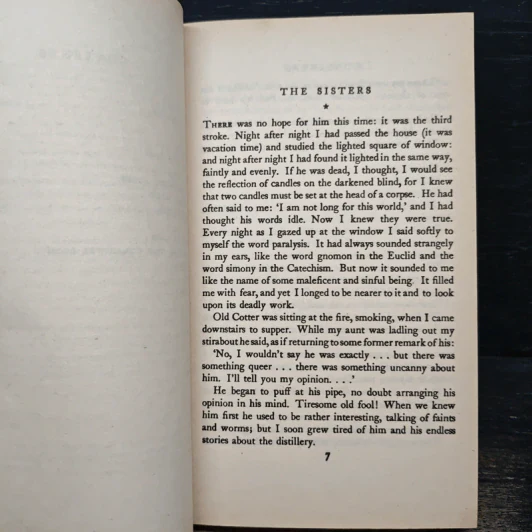 DUBLINERS - James Joyce รูปที่ 7