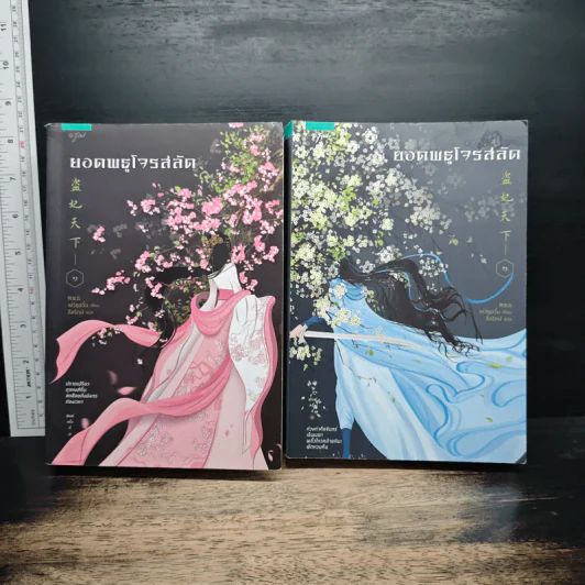 ยอดพธูโจรสลัด 2 เล่มจบ - เยวี่ยชูอวิ้น (Yue Chu Yun) รูปที่ 1