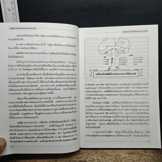 วิธีเสริมการรักษามะเร็งด้วยอาหารและอาหารเสริม - ดร.แพ็ตทริค ควิลลิน รูปที่ 8
