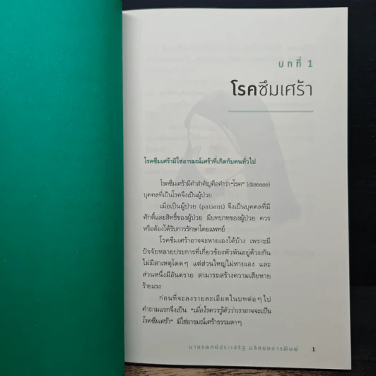 โรคซึมเศร้า - นายแพทย์ประเสริฐ ผลิตผลการพิมพ์ รูปที่ 8