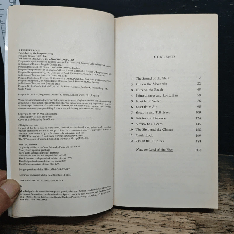 lord of the flies - william golding รูปที่ 6