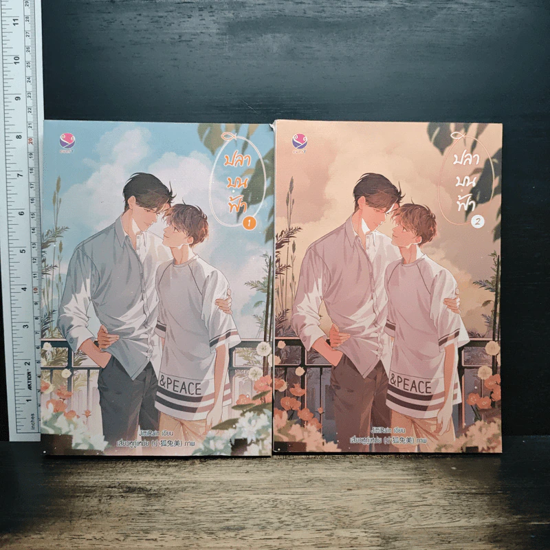 ปลาบนฟ้า 2 เล่มจบ - JittiRain รูปที่ 1