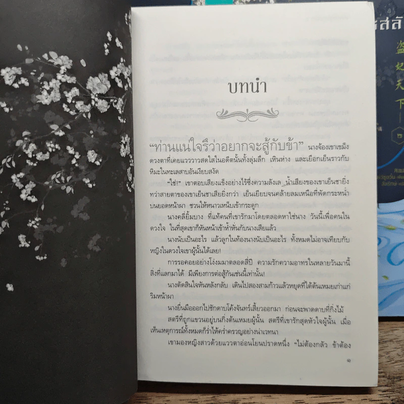 ยอดพธูโจรสลัด 2 เล่มจบ - เยวี่ยชูอวิ้น (Yue Chu Yun) รูปที่ 7