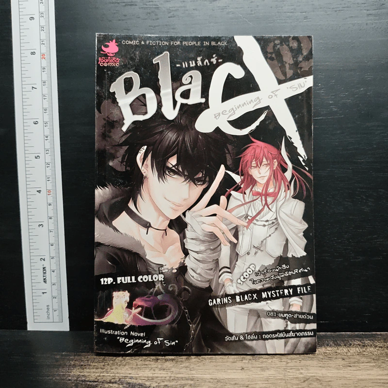 BlaCX การเริ่มต้นแห่งบาปและโทษทัณฑ์ รูปที่ 1