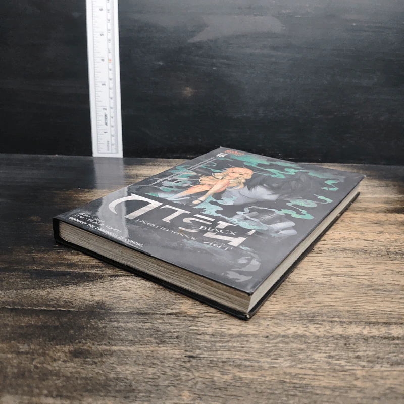 การิน Black ปริศนาอาถรรพ์สีดำ เล่ม 2 รูปที่ 4
