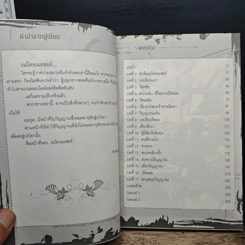 Necromancer ภาค วิญญาณ - Fe-PinK รูปที่ 7