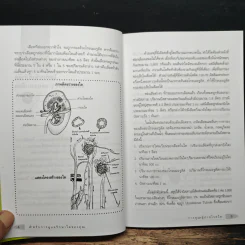 การดูแลผู้ป่วยโรคไต และความรู้ทางโภชนาการสำหรับผู้ป่วยโรคไต - พนิดา กุลประสูติดิลก รูปที่ 10