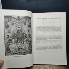 Dispeller of Obstacles รูปที่ 7