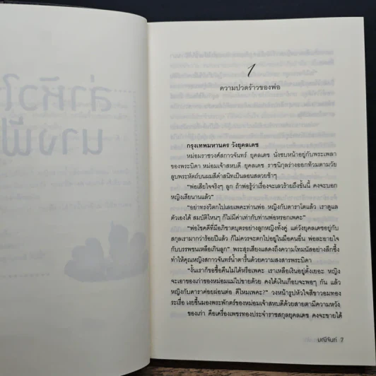ล่าหัวใจนางฟ้า - มณีจันท์ รูปที่ 8