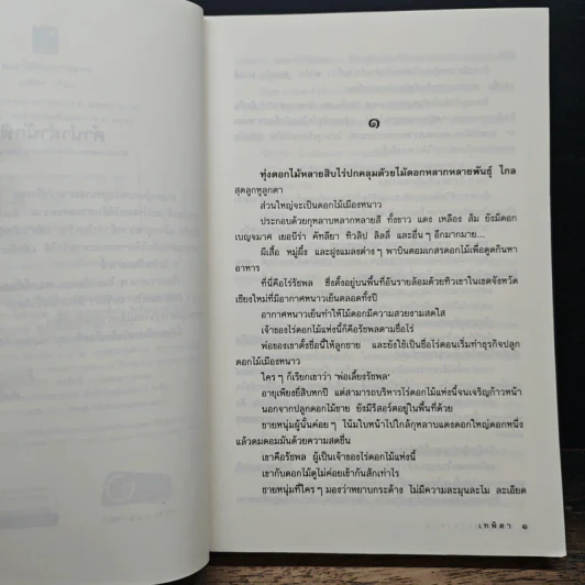 ดอกไม้ของซาตาน - เทพิตา รูปที่ 7