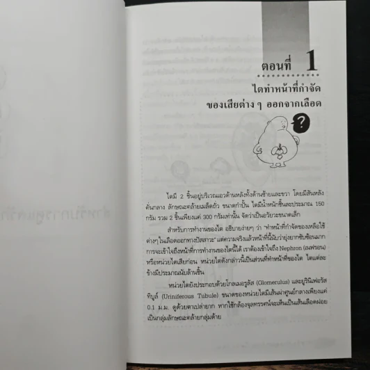 การดูแลผู้ป่วยโรคไต และความรู้ทางโภชนาการสำหรับผู้ป่วยโรคไต - พนิดา กุลประสูติดิลก รูปที่ 9