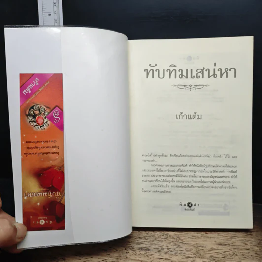 ทับทิมเสน่หา - เก้าแต้ม รูปที่ 6