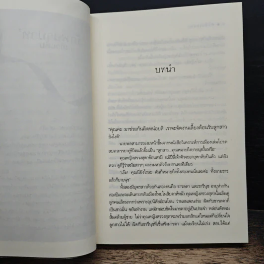 ทับทิมเสน่หา - เก้าแต้ม รูปที่ 7